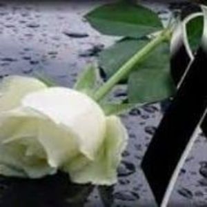 Meet your Posher, Graciela